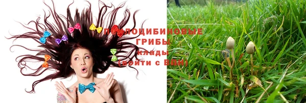 гашик Абаза