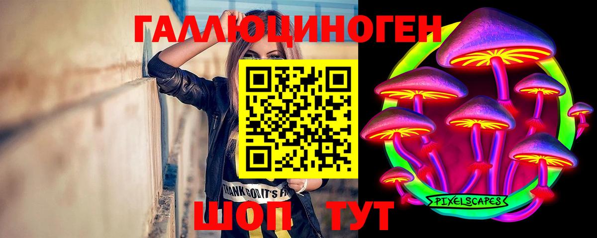 Псилоцибиновые грибы GOLDEN TEACHER  Вход с VPN  Нефтекамск  Галлюциногенные грибы Cubensis 